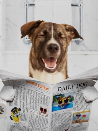 Picture of HARD DOG READING