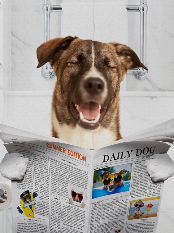 Picture of HARD DOG READING
