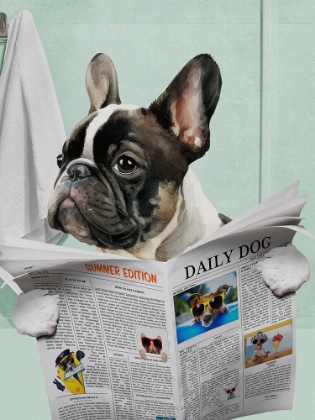 Picture of PUG NEWS