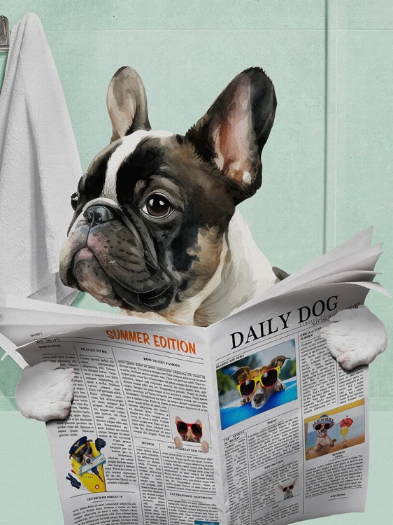 Picture of PUG NEWS
