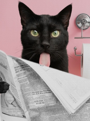Picture of KITTY SATISFYING READING