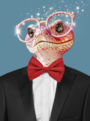 Picture of TUXEDO SNAKE