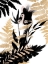 Picture of FERN HAIKU
