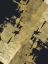 Picture of GOLDEN TRACKS