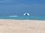 Picture of CALMING EXPERIENCE