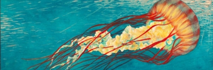 Picture of JELLY FISH 1