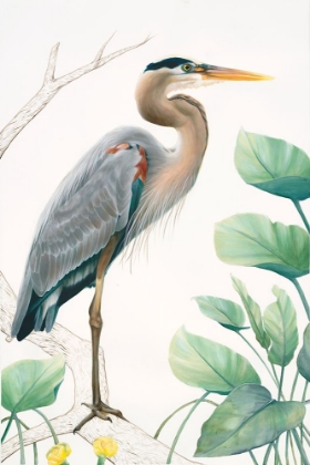 Picture of HERON 1