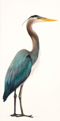 Picture of MIGHTY HERON