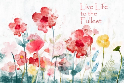 Picture of SECRET MEADOW LIVE LIFE