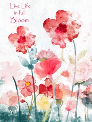 Picture of SOFT MEADOW IN BLOOM 1