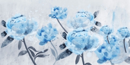 Picture of PEONIES FIELD
