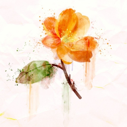 Picture of SPRING BLOOM