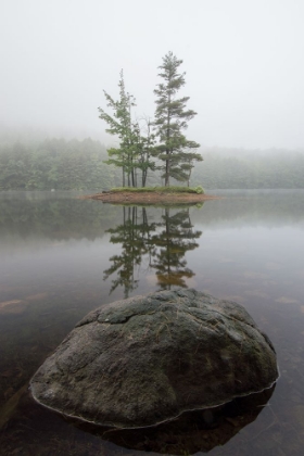 Picture of DUO TREES