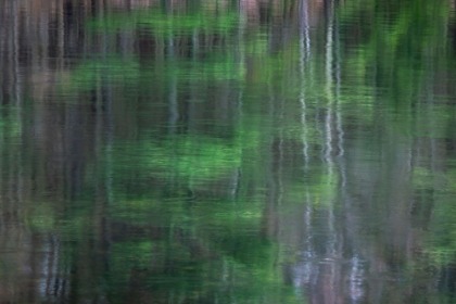 Picture of BLURRED VISION 1