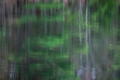 Picture of BLURRED VISION 2