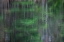 Picture of BLURRED VISION 2