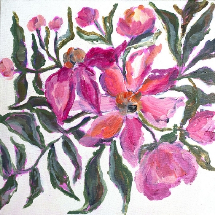 Picture of PEONY IVORY