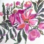 Picture of PEONY IVORY