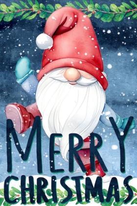 Picture of SNOW GNOME