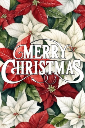 Picture of POINSETTIA CHRISTMAS