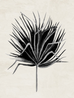 Picture of DRIED 1 V2
