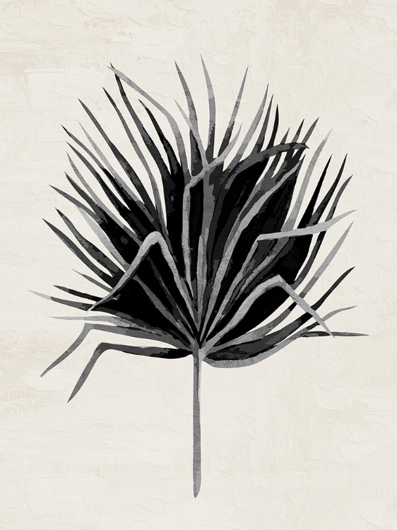 Picture of DRIED 1 V2