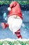 Picture of SNOW DANCE