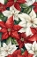 Picture of POINSETTIA RED AND WHITE
