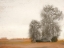 Picture of AUTUMN COUNTRYSIDE