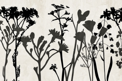 Picture of FIELD OF STEMS