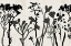 Picture of FIELD OF STEMS