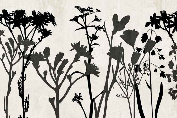 Picture of FIELD OF STEMS