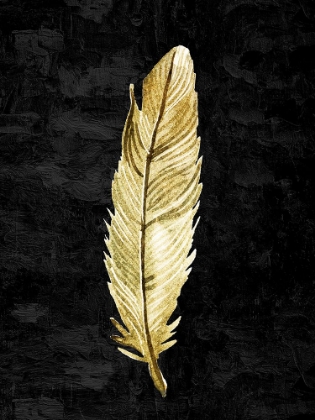 Picture of FEATHER ON BLACK 2
