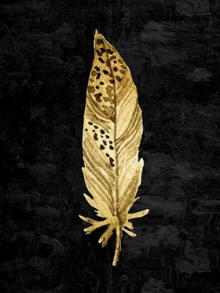 Picture of FEATHER ON BLACK 3