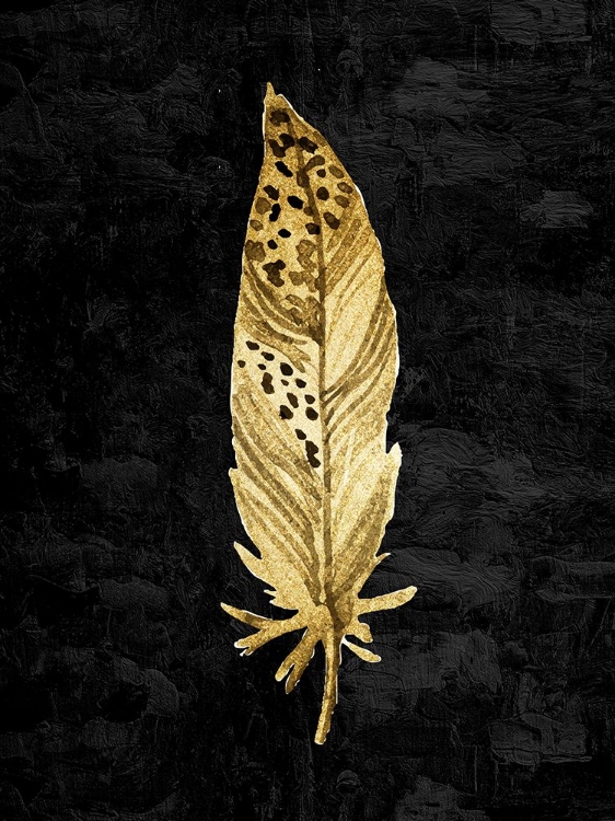 Picture of FEATHER ON BLACK 3