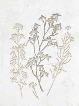 Picture of PLASTER FLORAL 2