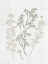 Picture of PLASTER FLORAL 2