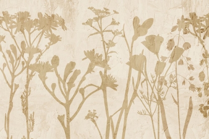 Picture of NEUTRAL STEMS
