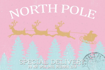 Picture of SPECIAL DELIVERY