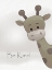Picture of PEEK A BOO 2