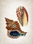 Picture of VINTAGE SHELLS 1