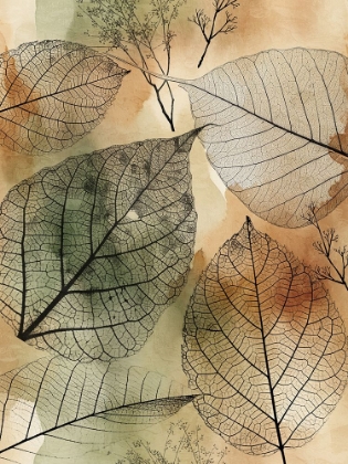 Picture of IMPRINT LEAVES 1