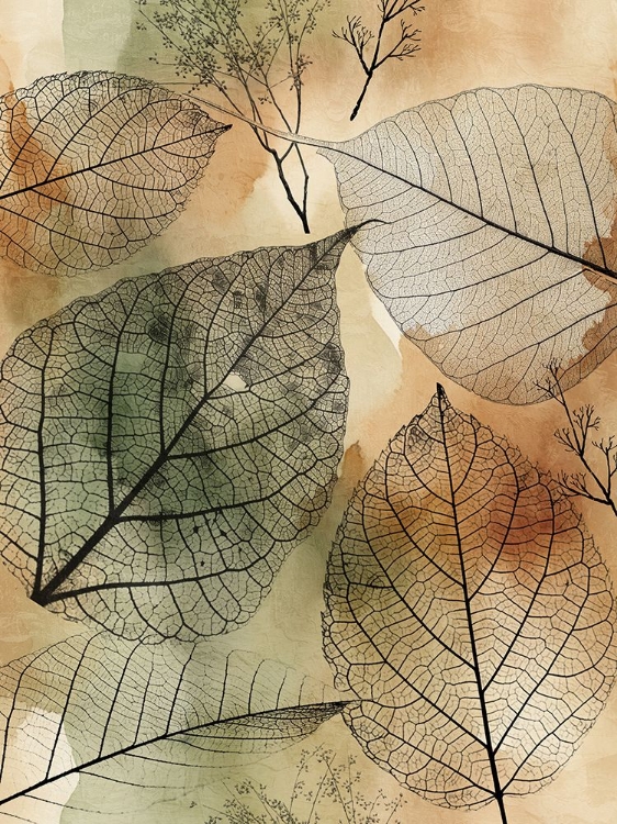 Picture of IMPRINT LEAVES 1