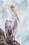 Picture of ON WATCH