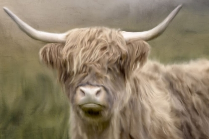 Picture of HIGHLAND DREAMS