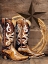 Picture of COWBOY BOOTS STAR