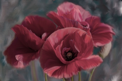 Picture of POPPIES