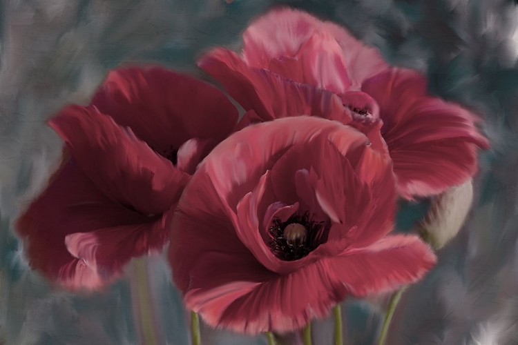 Picture of POPPIES