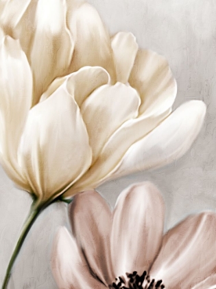 Picture of BLOOMING MOCHA 1