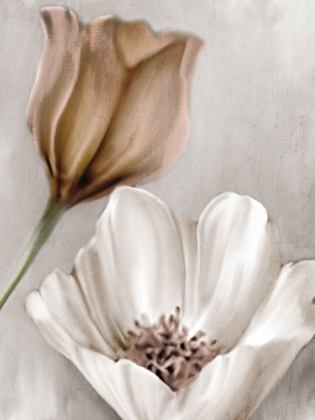 Picture of BLOOMING MOCHA 2